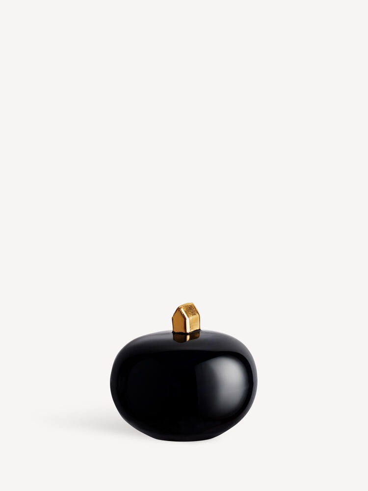 KOSTA BODA Earth midnight sort